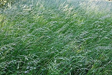 《小小梦魇》移动端上线预告 登陆IOS及安卓平台